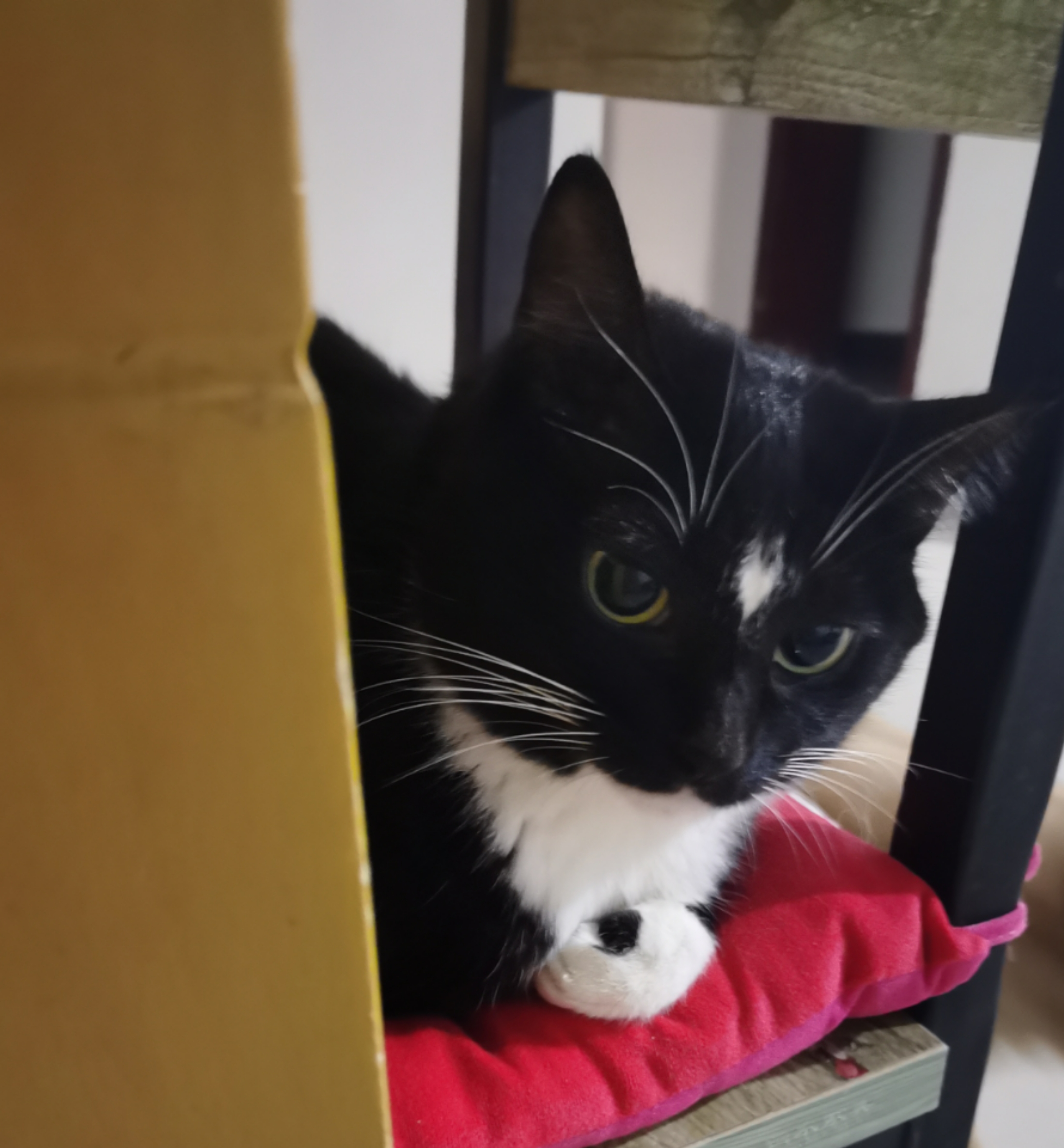 12D3ACE63EA947A2968EA0001F671A92_mmexport1638962289949