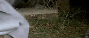 152B36801D37449483EB29D4B63AF51F_6a63f6246b600c33450393a8154c510fd9f9a15c