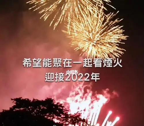 2021FAA612844E1382DFCB0F2D980610_IMG_20211231_141551