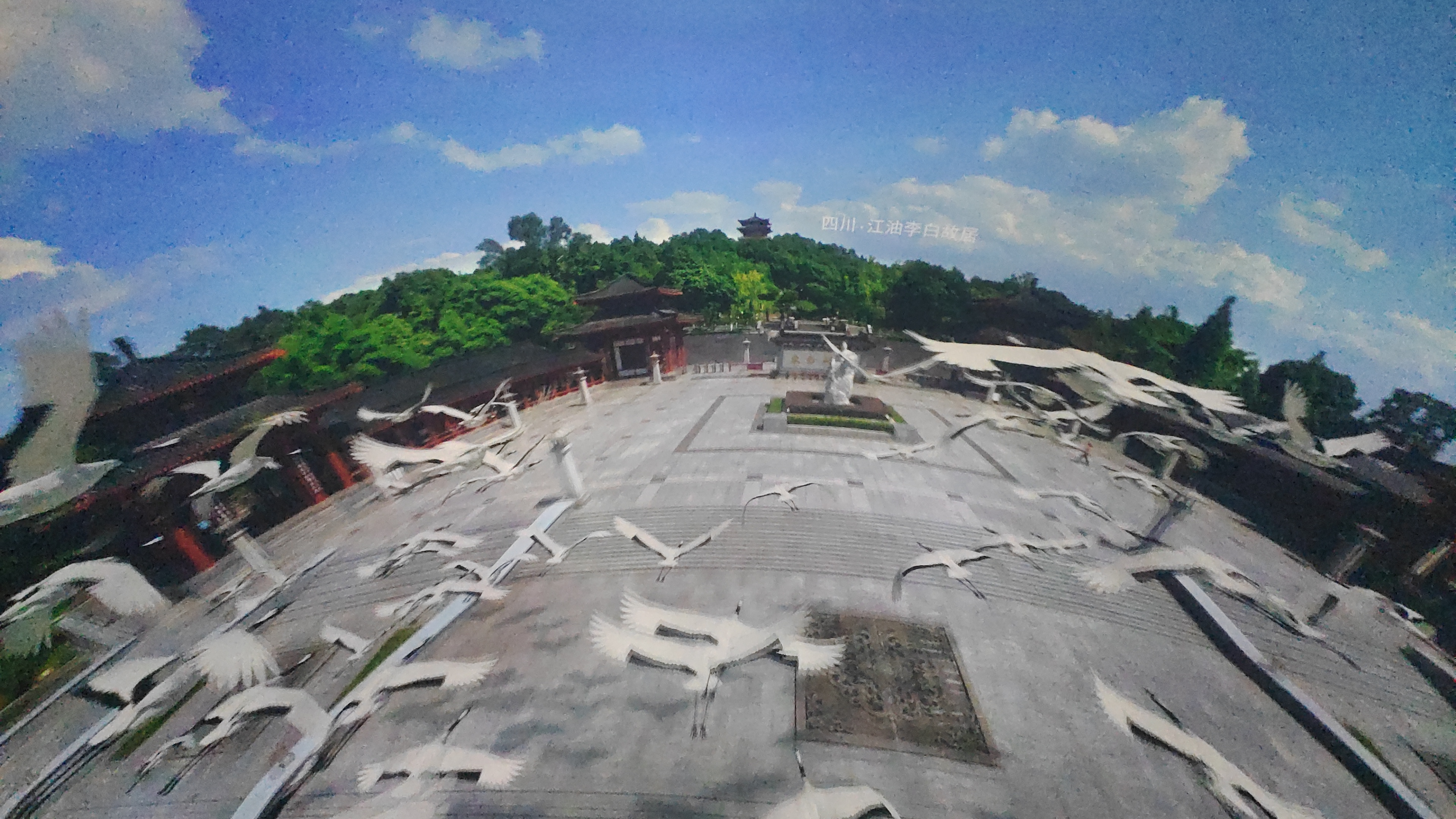 25C1696833B54D5CBC413DD4ACCC9A2A_IMG_20220123_155636