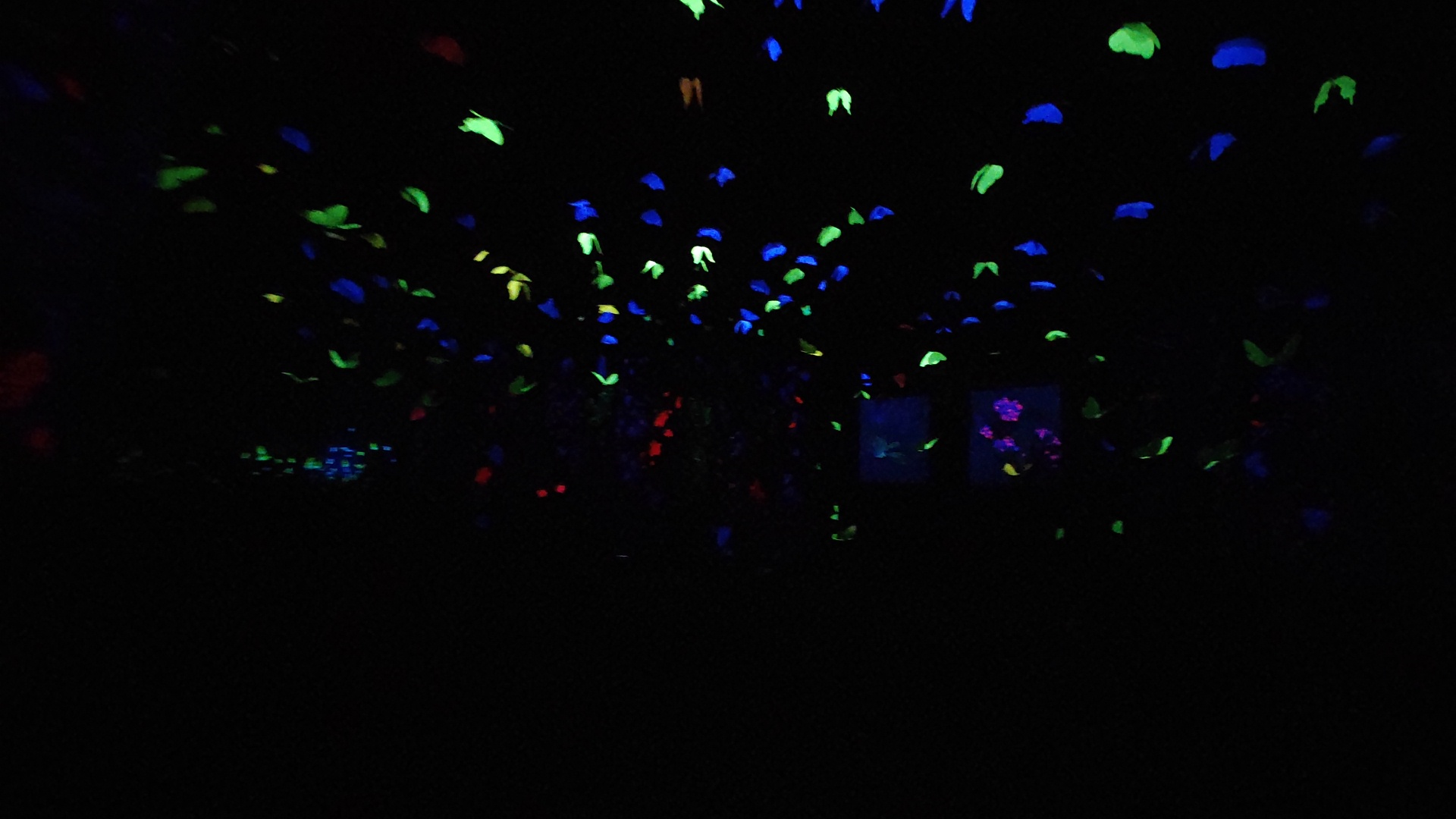 2A3DABBF39E240F8B6CE0A5A1519BCDE_IMG_20220123_115258