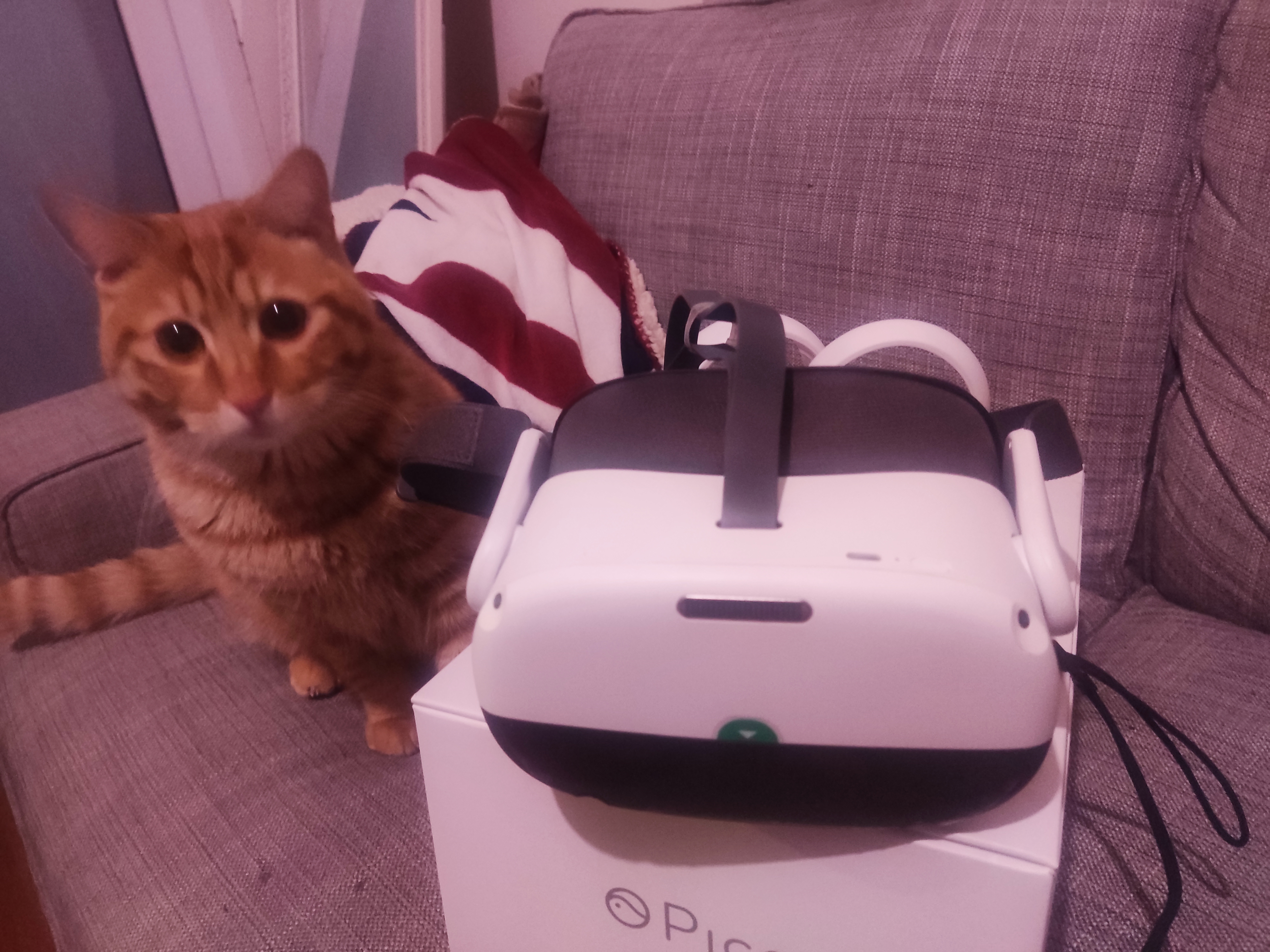 32ACE209E9CA47C79CB4BEAE116AB479_IMG_20220225_205654