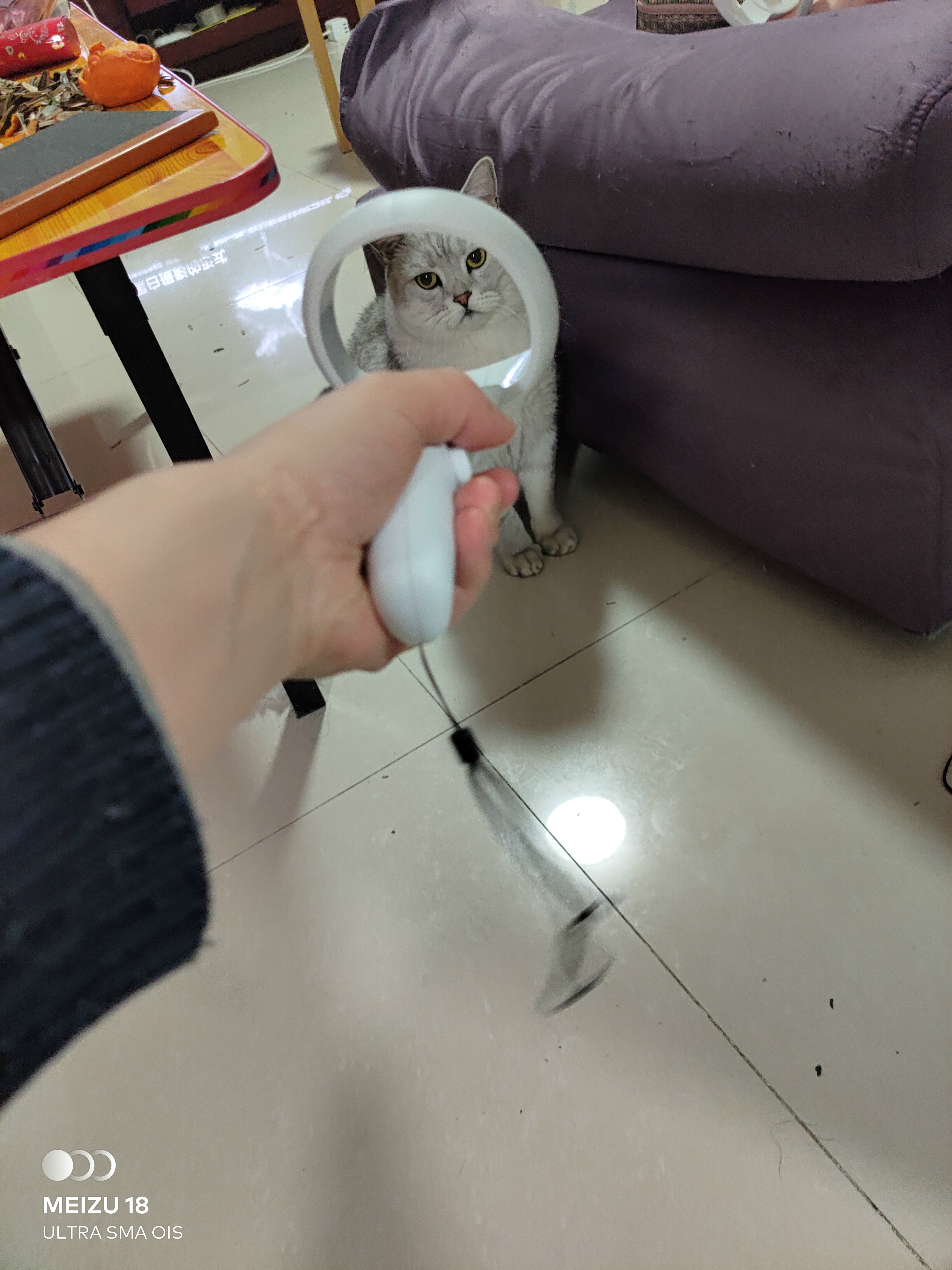 33E3ED11DE2C4709A2D3595CE72A097A_P20225-215534