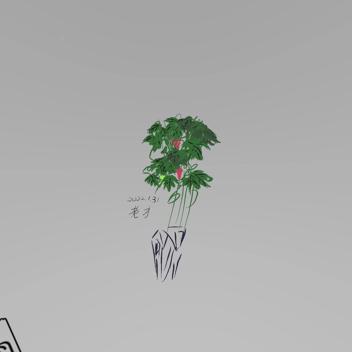 无法显示
