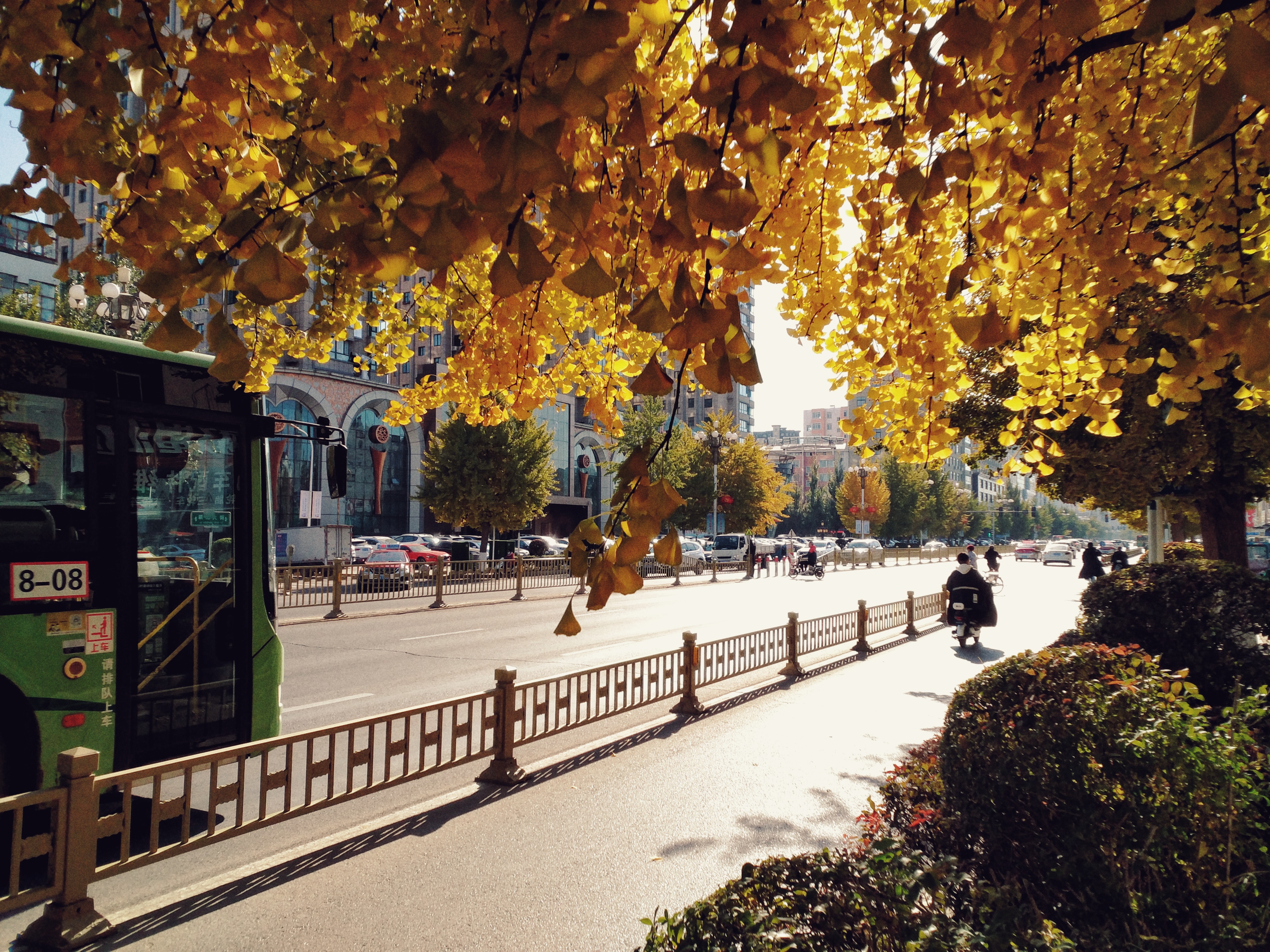 68C7D17BFEFD4D00A8AE57510CDDE05D_IMG_20211023_132403-01