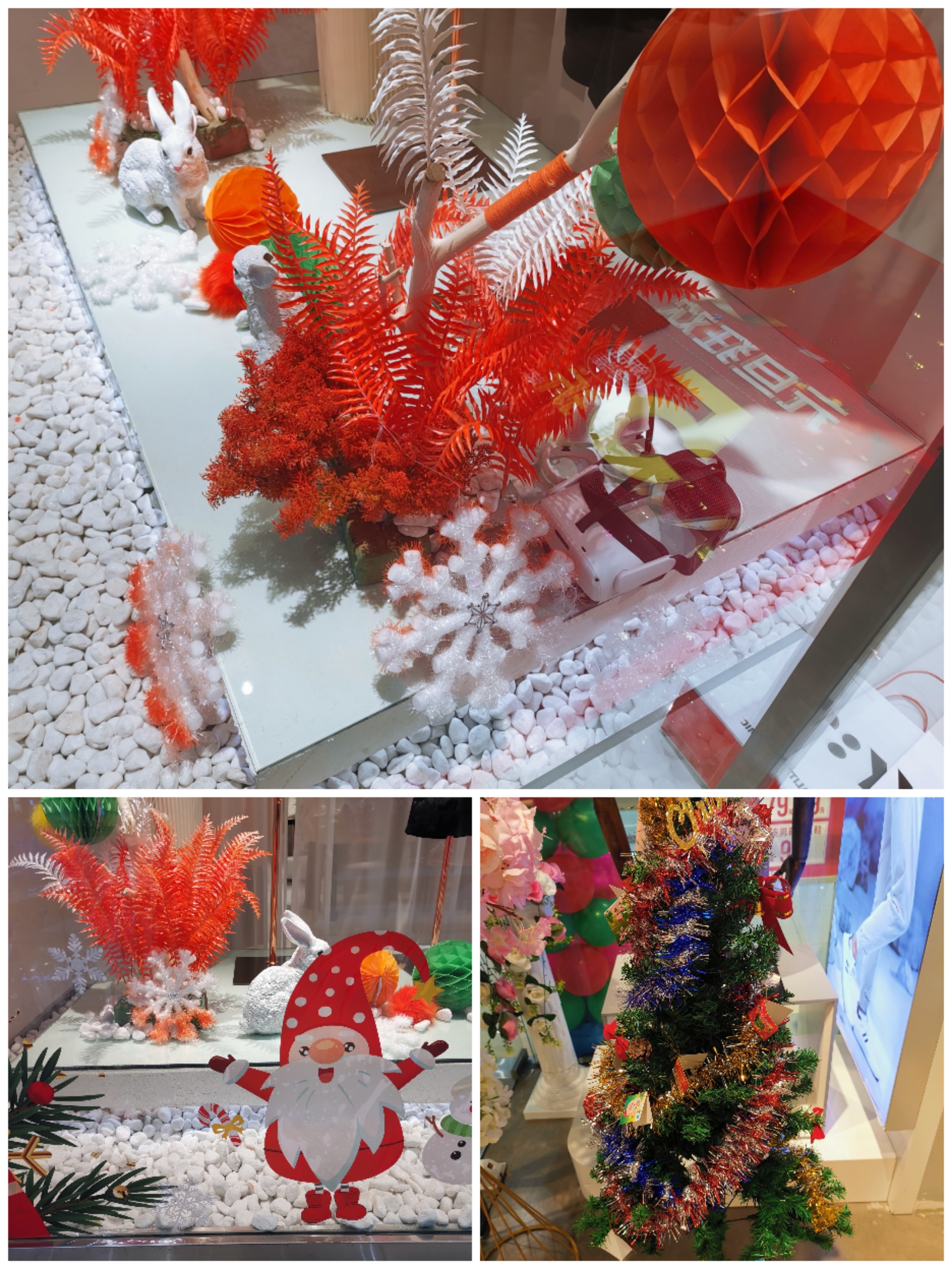 69AD2C2F5A0D444396A7266E50AE94C6_Collage_20211227_164627