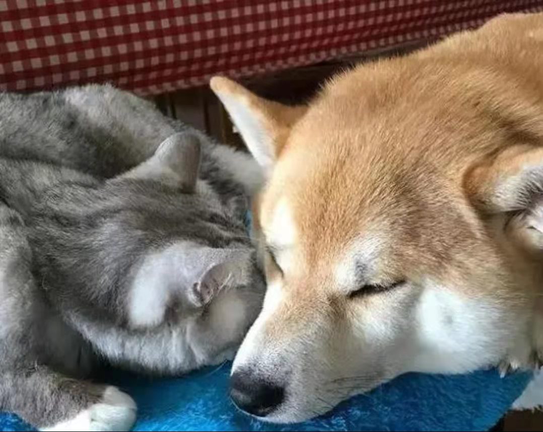 6B3CFAFFB79047F3806BEAC0F9F0A942_mmexport1638676760257