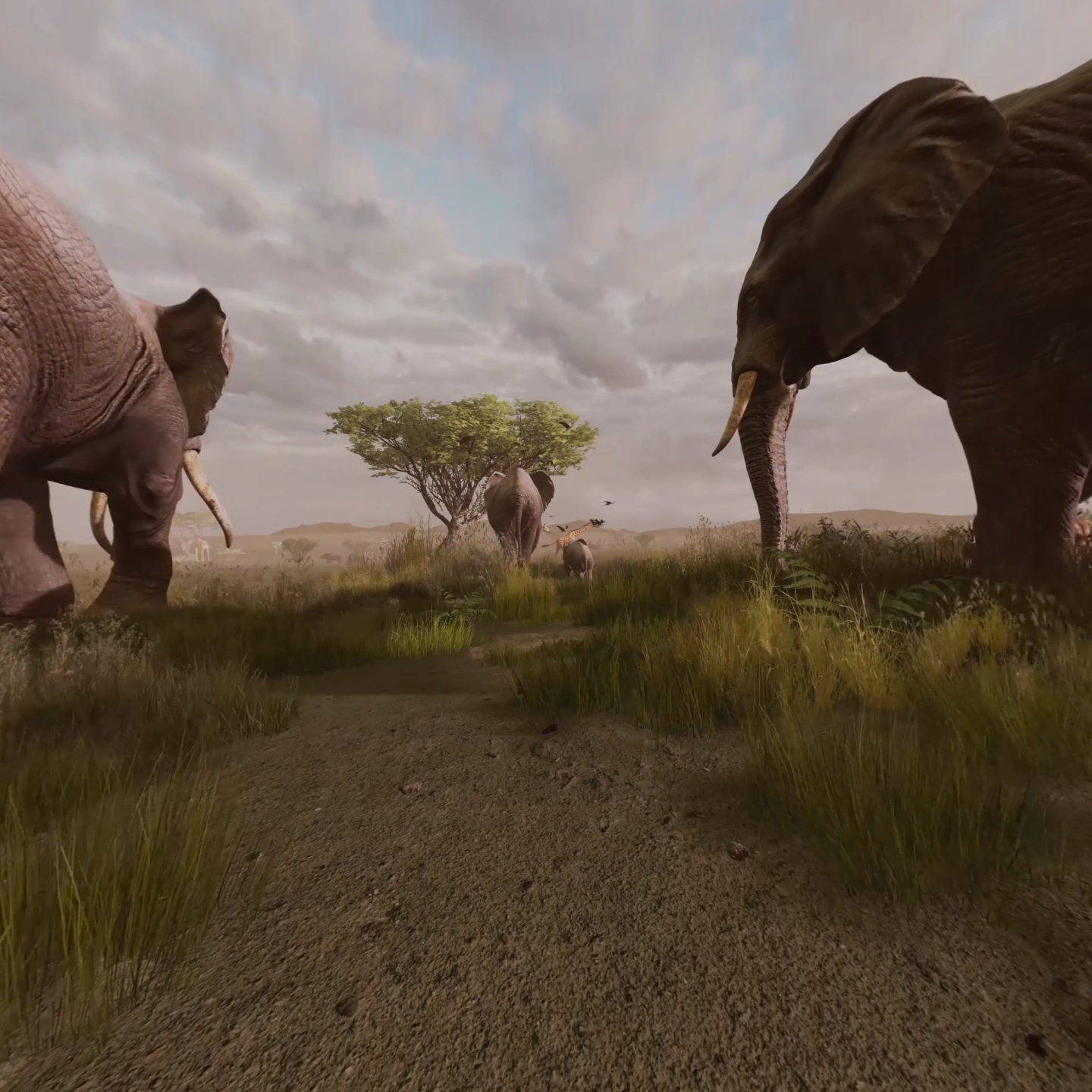 8BACCEF283C5421195FAA6358980943E_Screenshot_com.picovr.wing.videoplayer_2022.02.23-19.51.15.766_311