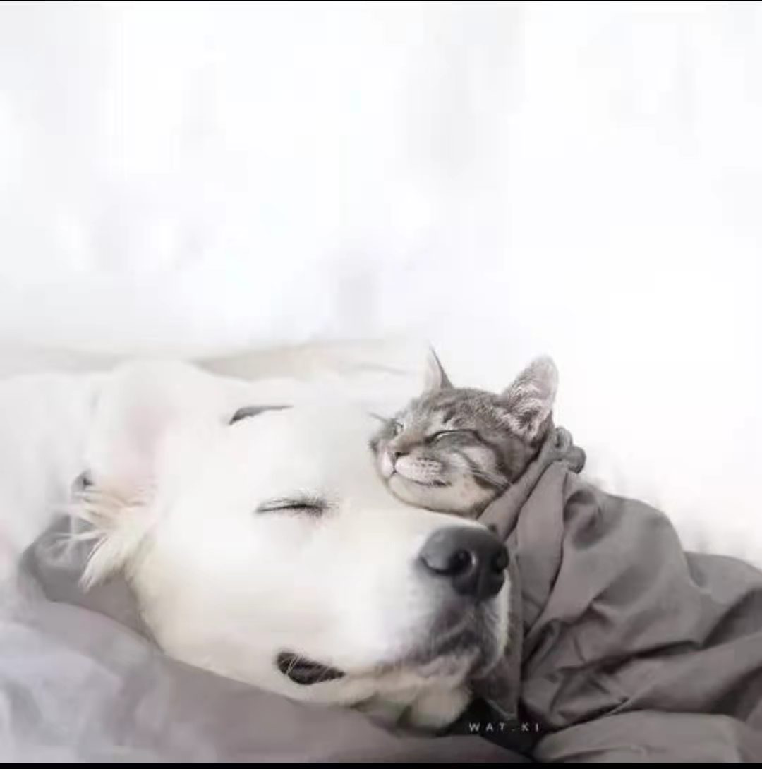 943985705ED044529A5DB00C3B832D75_mmexport1642507472857