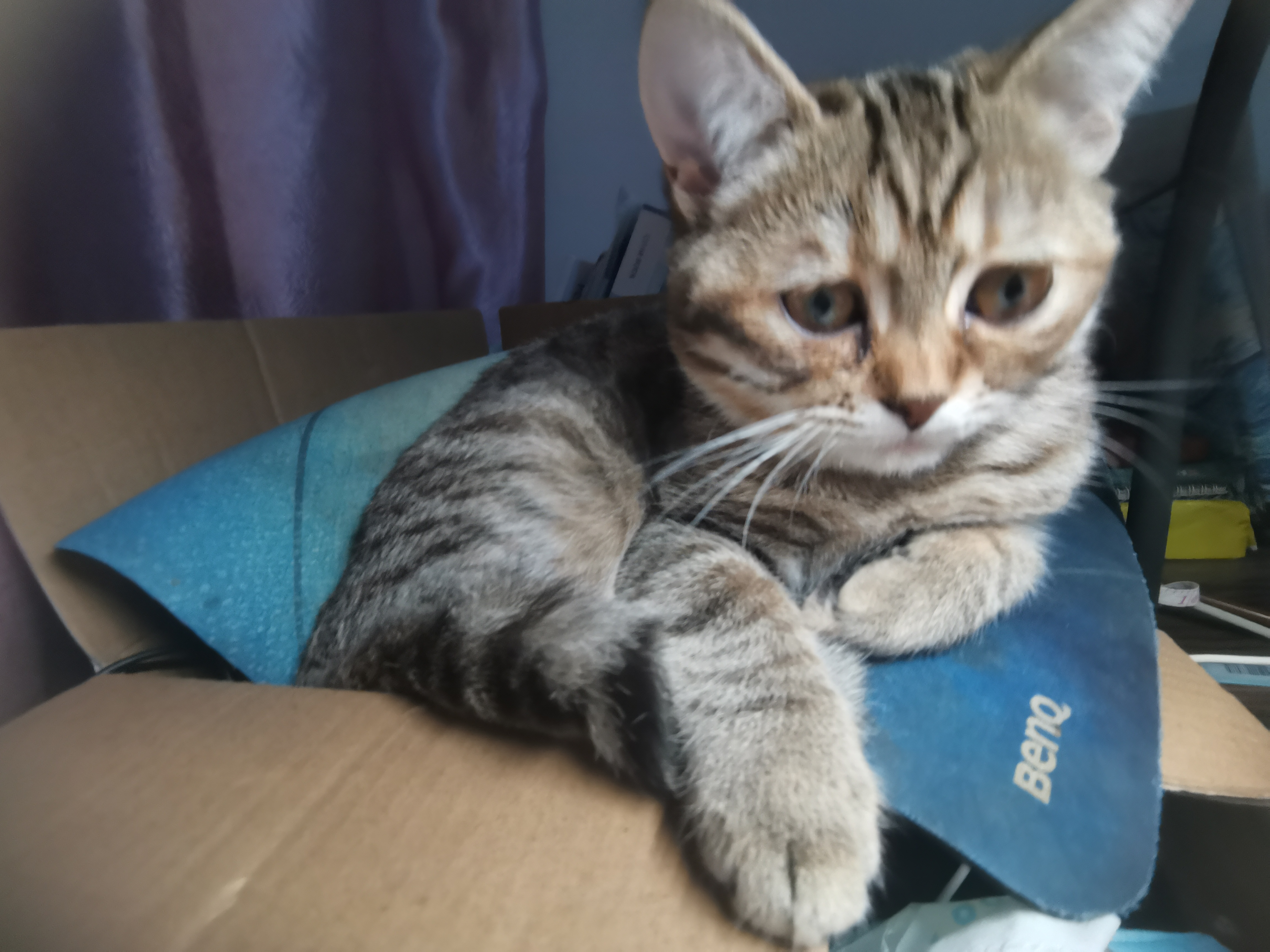 A716FD5878B5435DAAAC8D4033A84A7A_IMG_20211103_131147