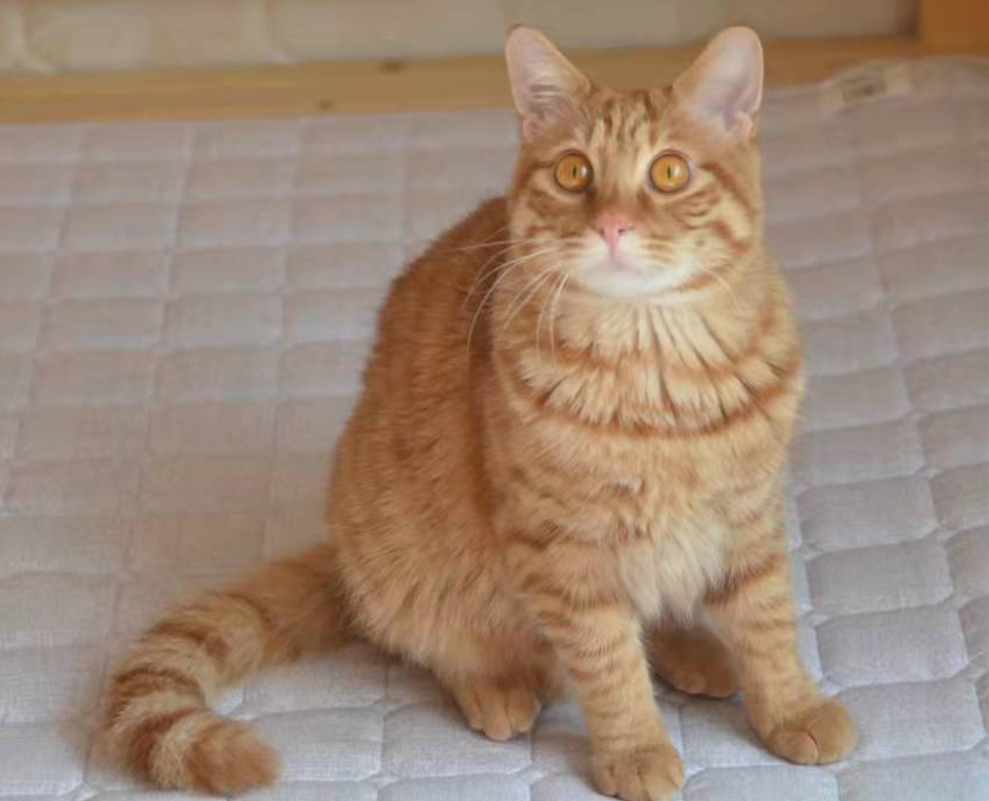 B03F350B68CD47EBBECAD9744E83E1DE_mmexport1645768589047