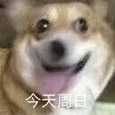 BD15F8D8844B468F9DA653895D308B13_550a500f59779abdcd3ee1b6def5f25c29ab22893b6e5fc076300fef93514f7e