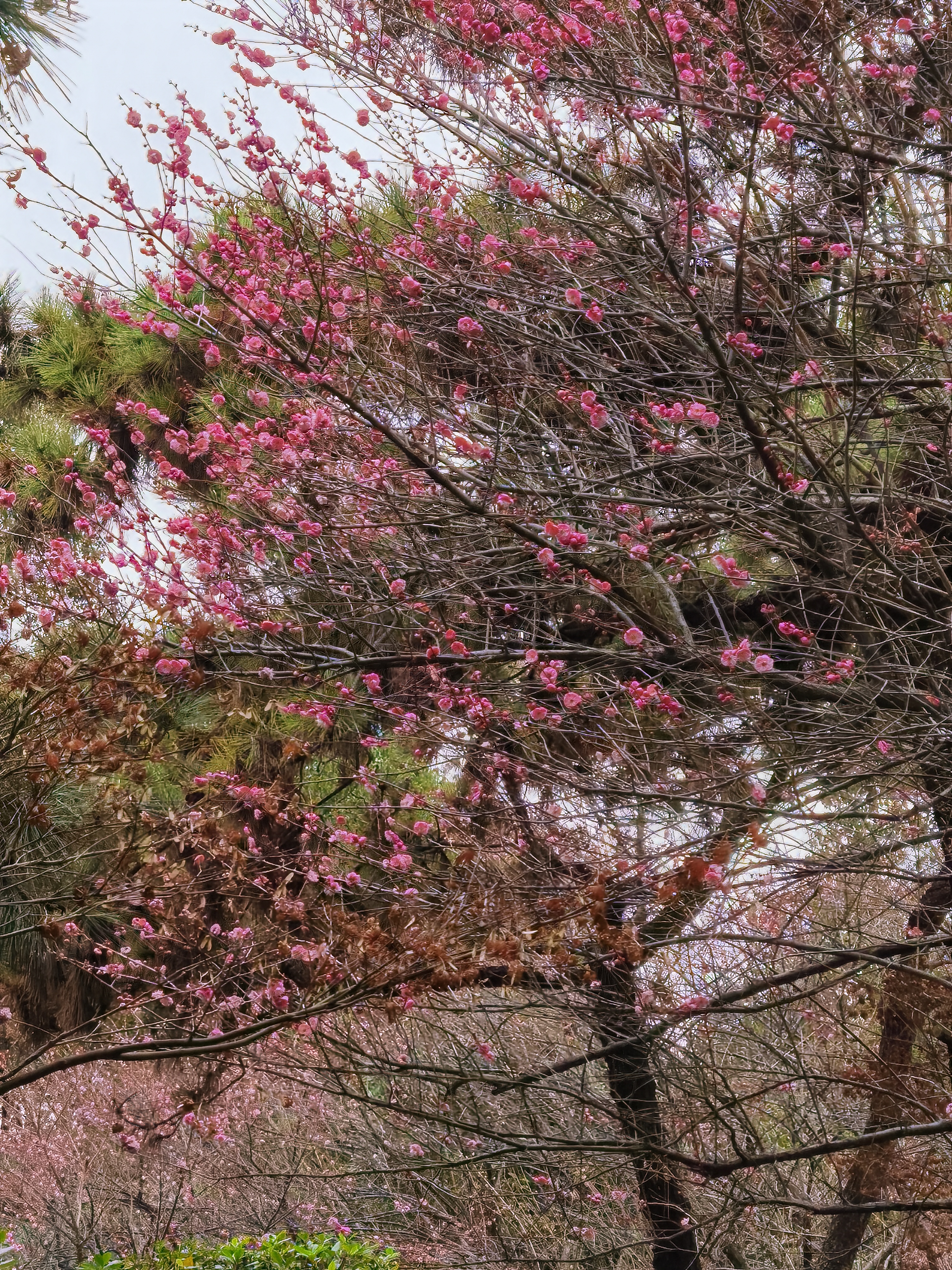 C1D3584A93A2450C9AE69392C33A1ADB_IMG_20220118_105206