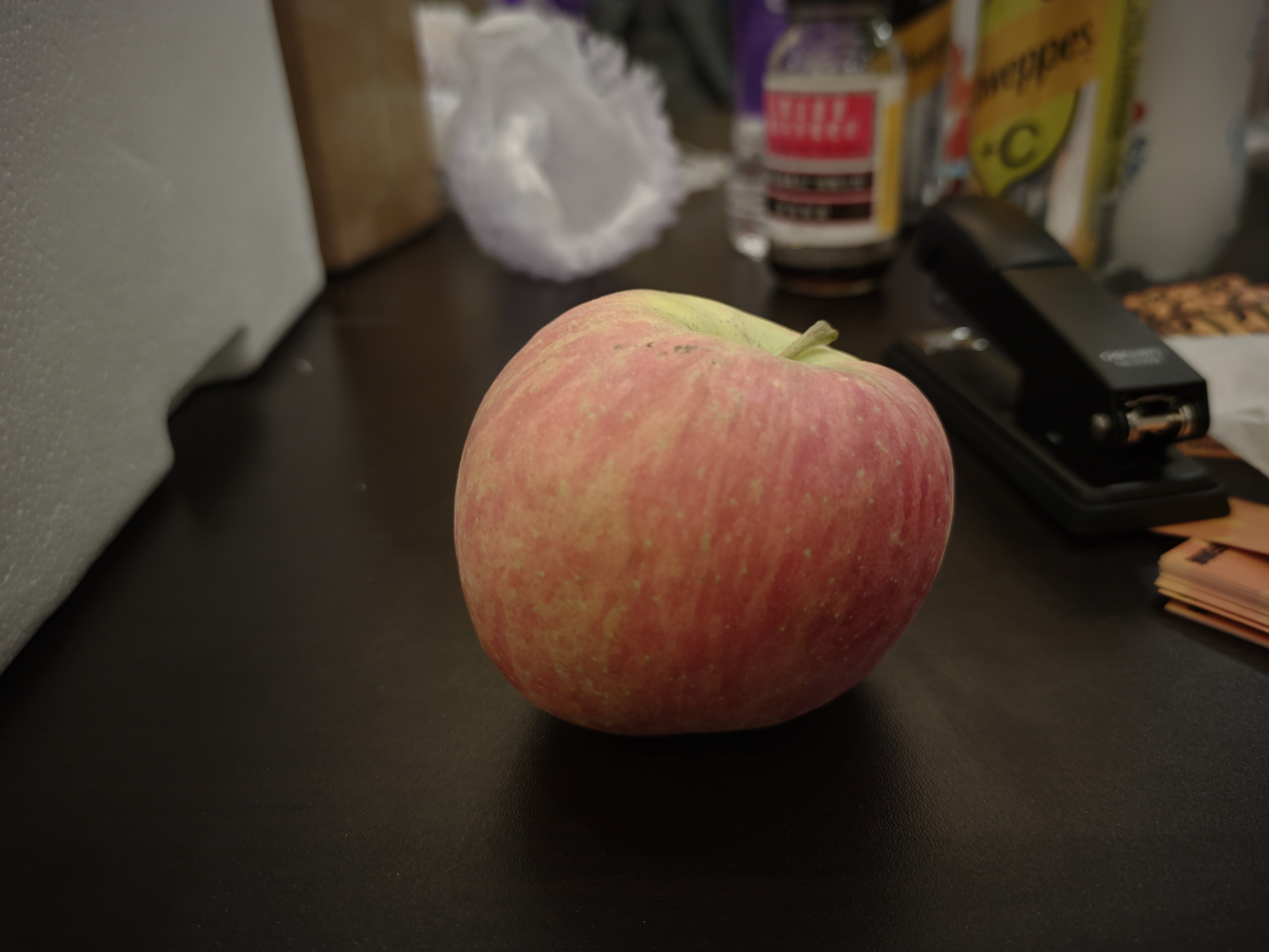 C45257183F894D8598B4EBBFC0D5CA12_IMG_20211224_172543_BurialYes