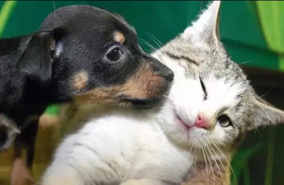 C6CDCED33D2E45599447E462EDFBF667_mmexport1638676785920