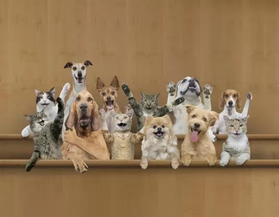 CF5141236D024481933D33D022E7D46B_mmexport1642507483879