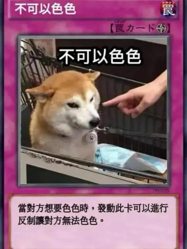 CFE0A9FBF00F4C9F8AB254F9EF8DDCC2_small_2021093041012786