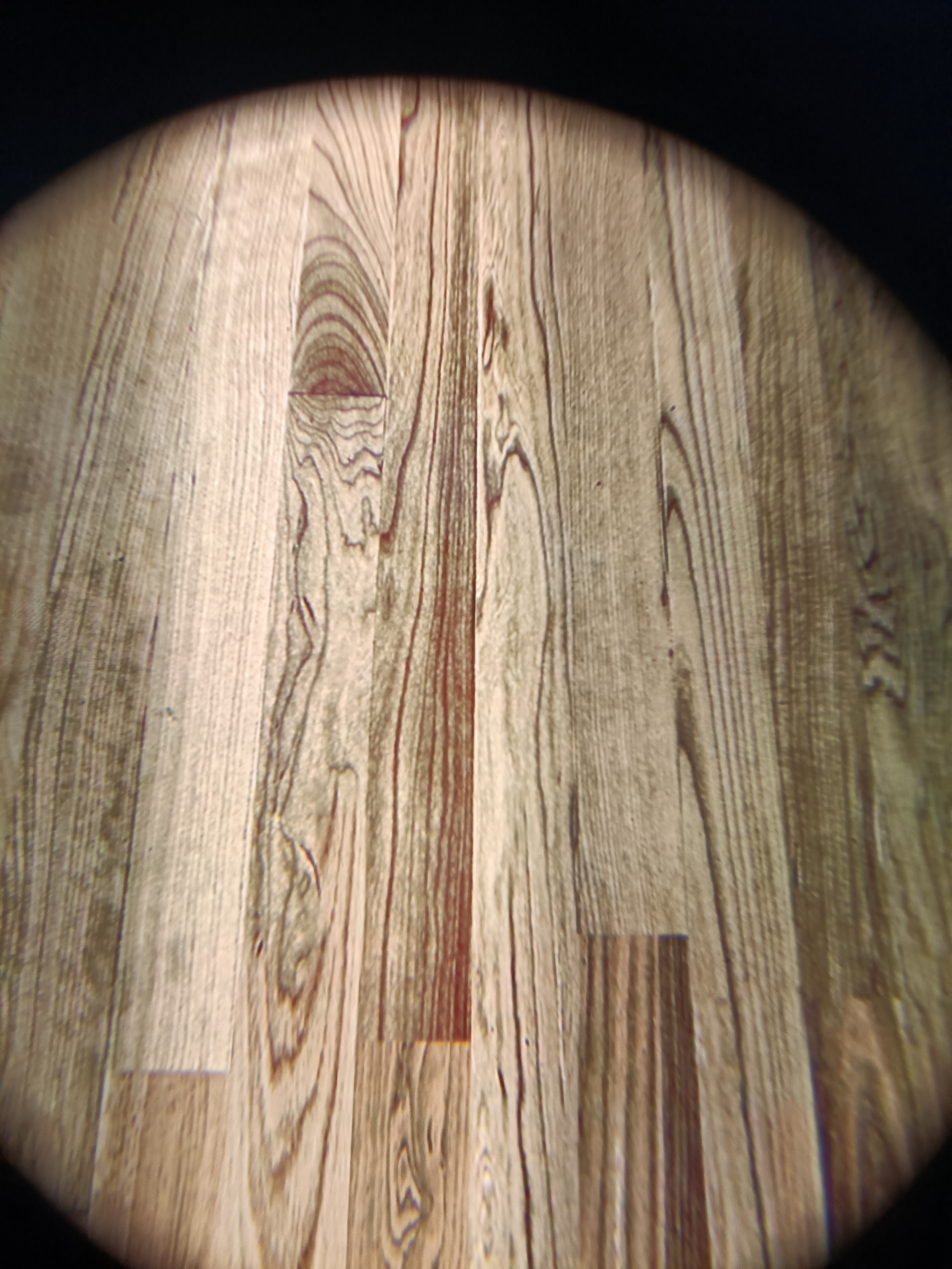 E05A48EADEB54B8DBCF67A2FC344B9DA_IMG20220129194347