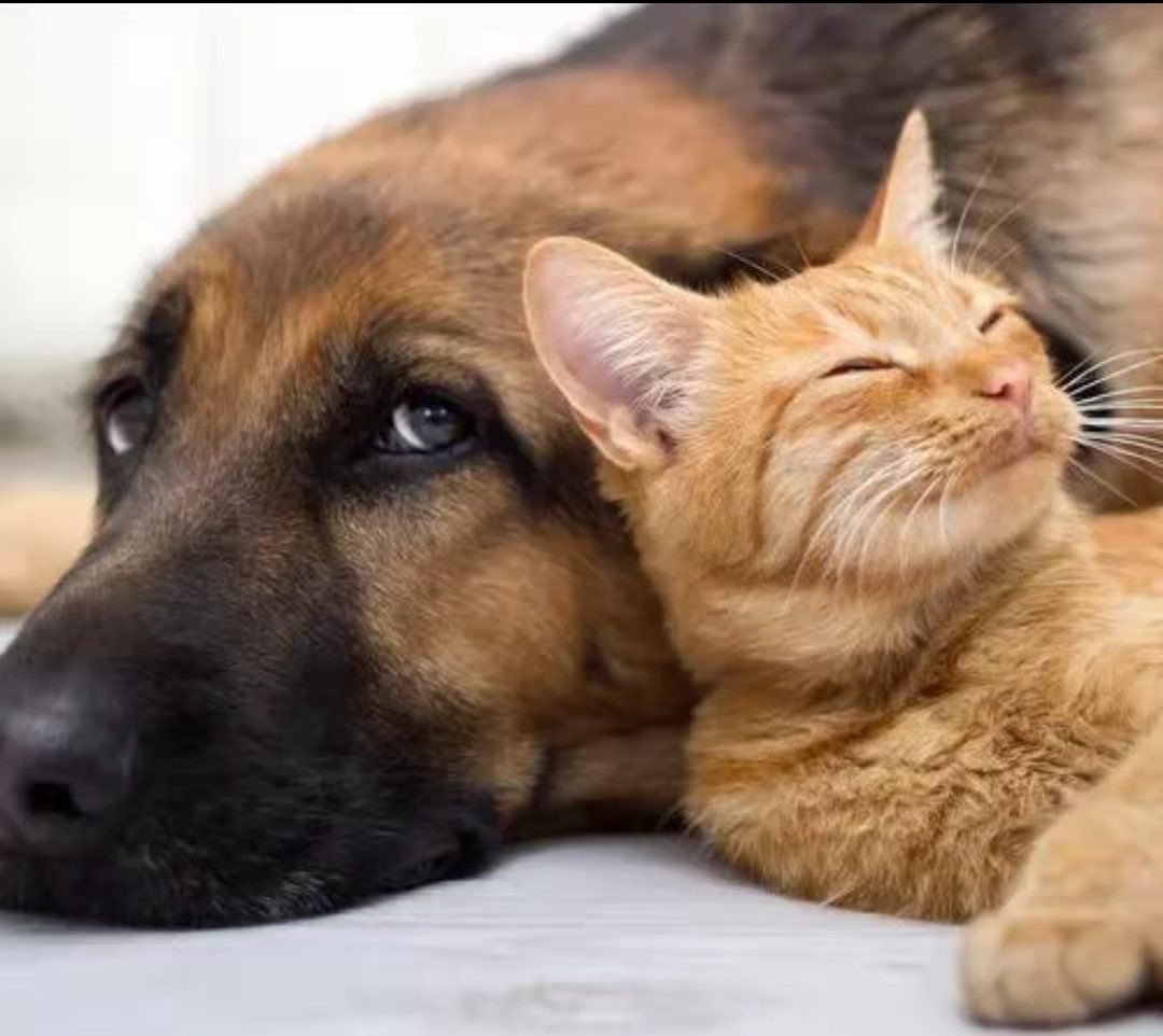 EFC7EF0A10AD4E26BCE084F47A94B3DB_mmexport1638676758312