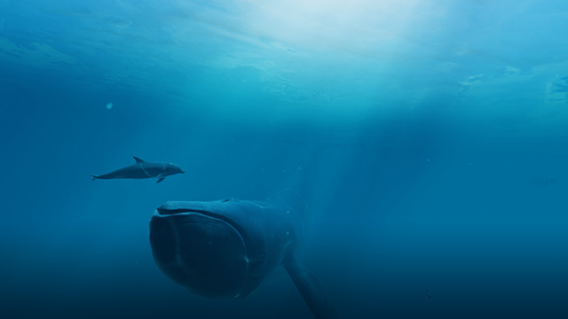 F051EA98DF914078B12930B2913CB64D_IMG_1636971500040