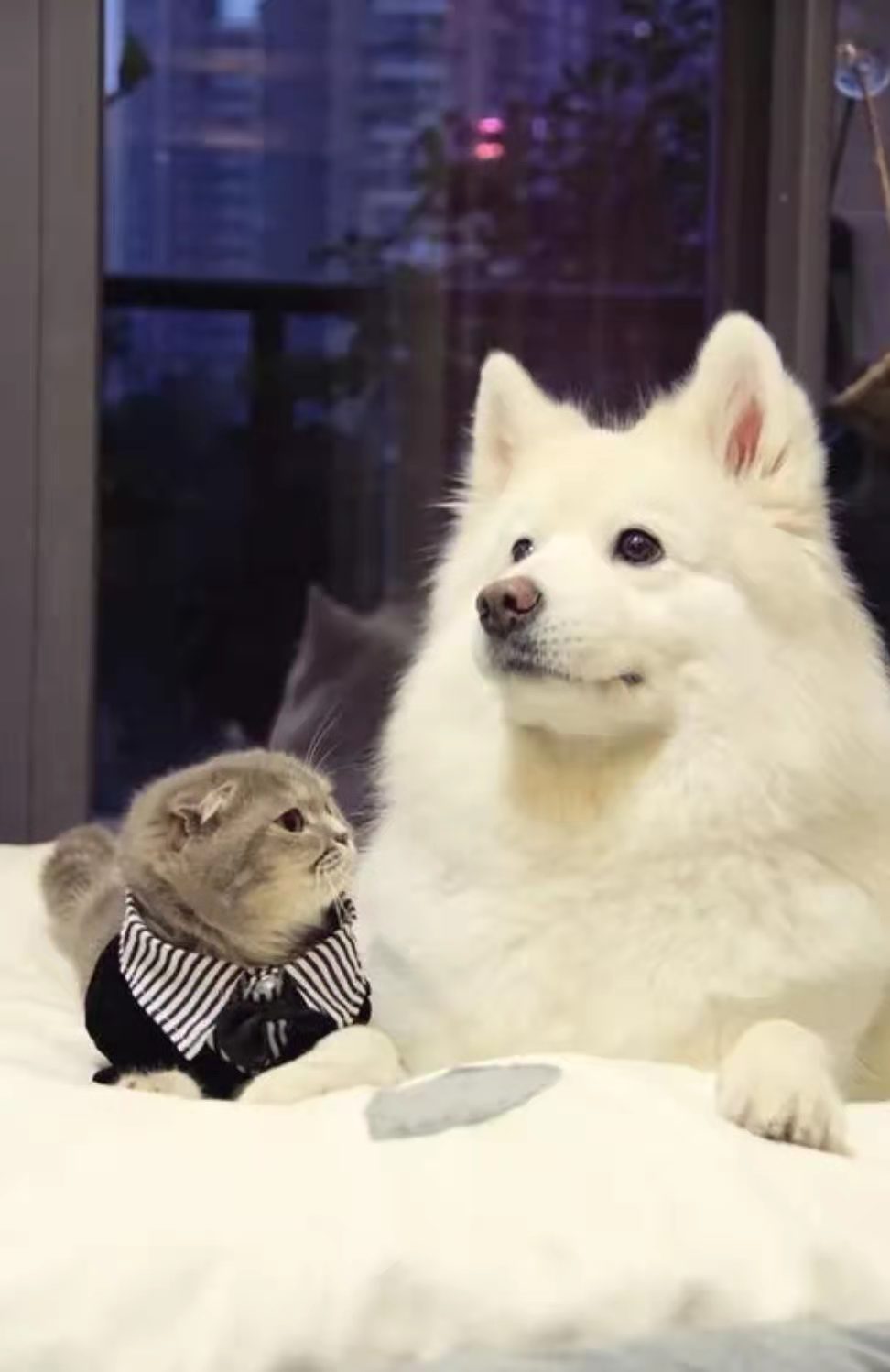 F0A7776728694068818D3BF0C7BC704B_mmexport1642507475222