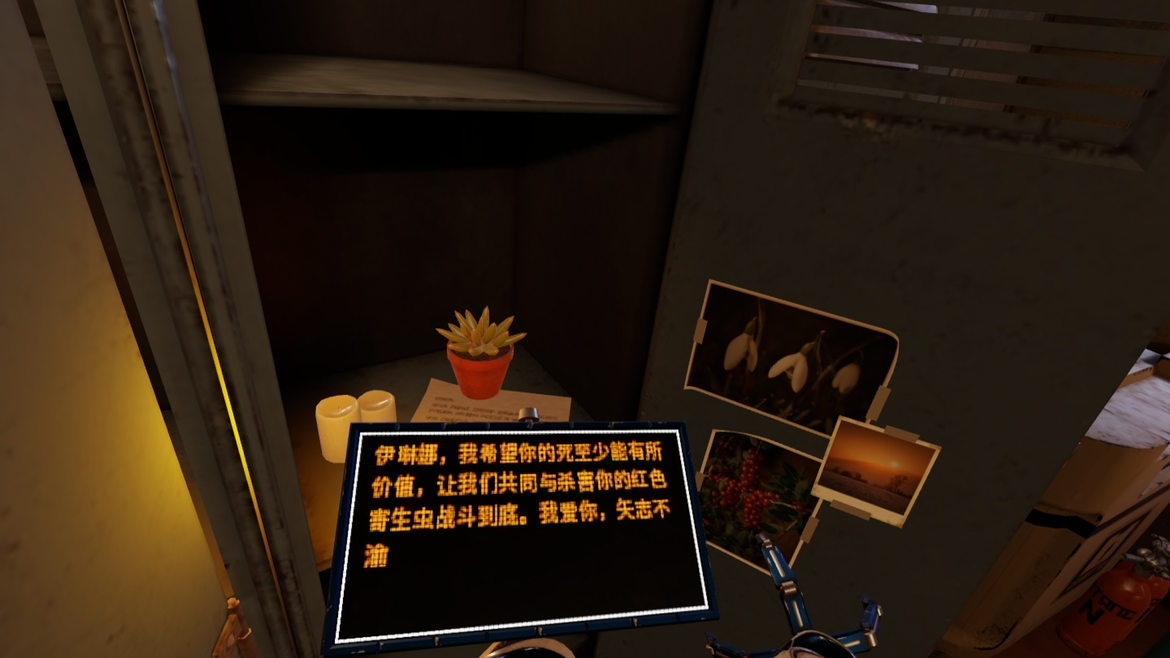 无法显示