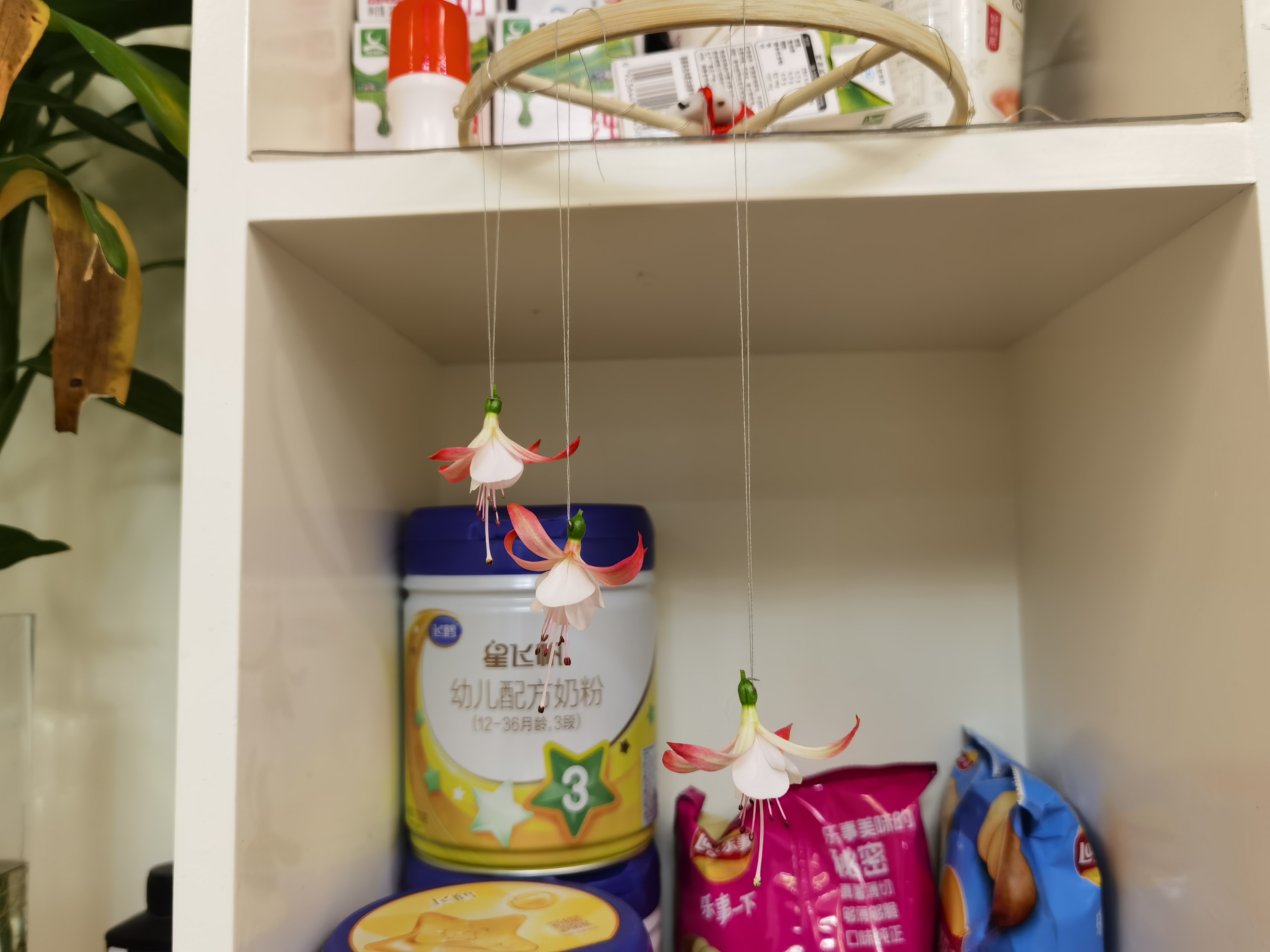 FBD2EB5BFDCE4F138EFDB3E03B0E3E67_IMG_20220219_161239