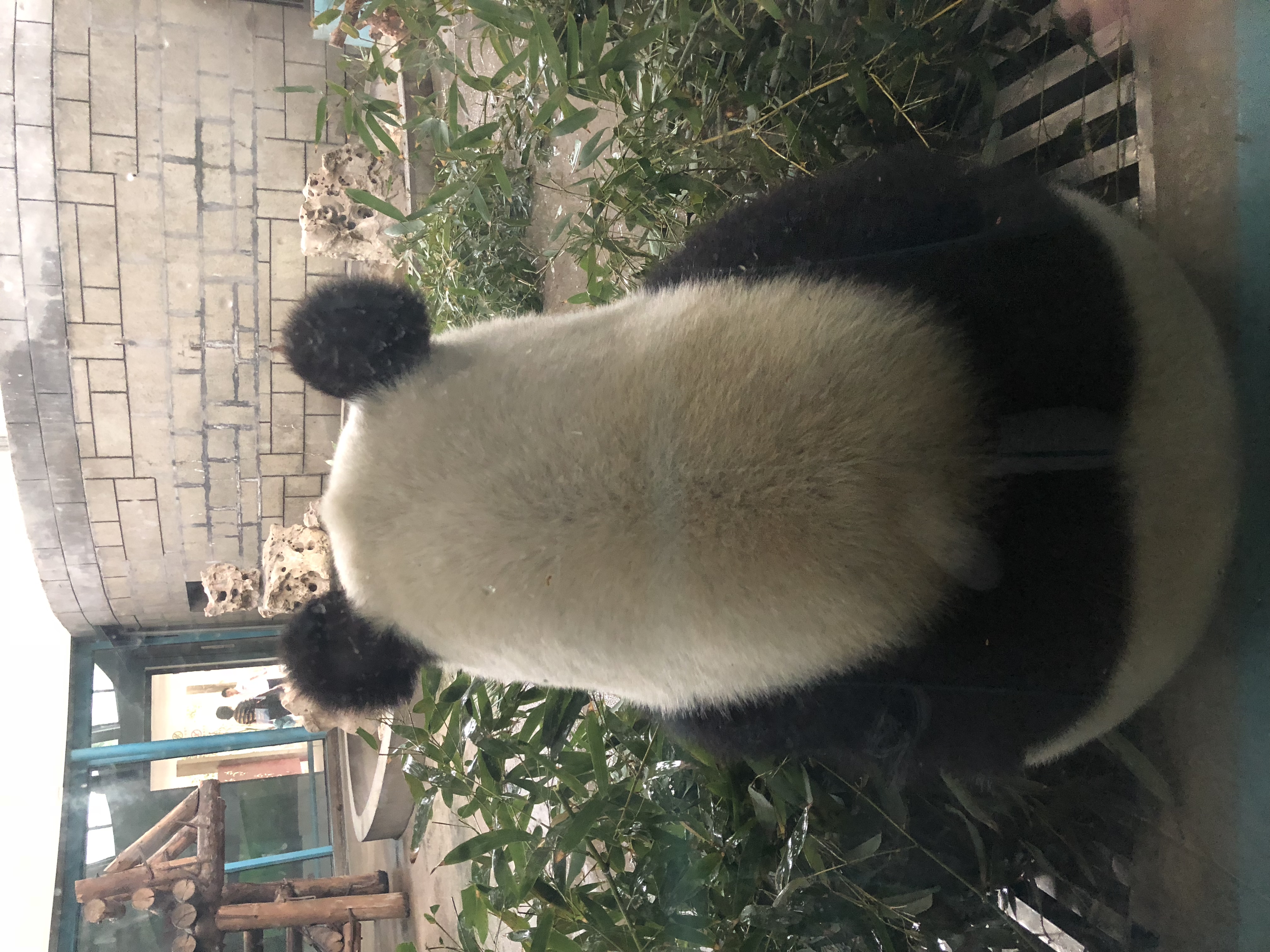 mmexport1526182837177