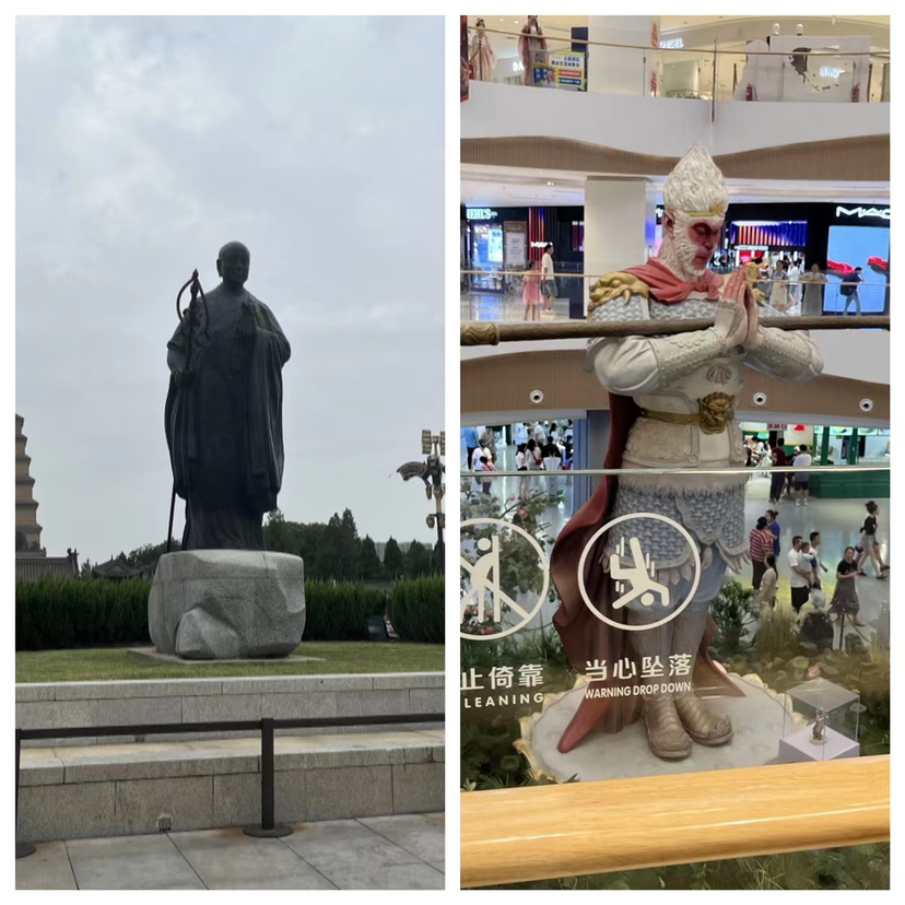 无法显示